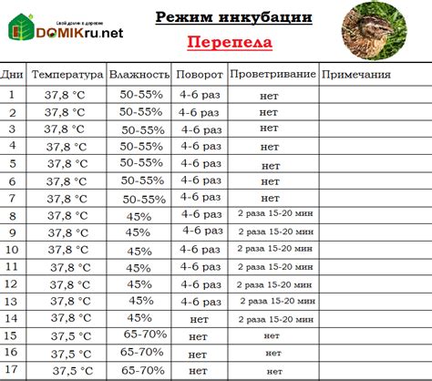 Идеальная температура для инкубации куриных яиц