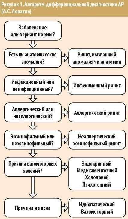 Избегание контакта с аллергенами: первый шаг к решению проблемы