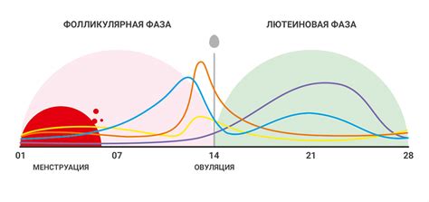 Изменение значения снов о плавании в пруду в зависимости от атмосферных явлений