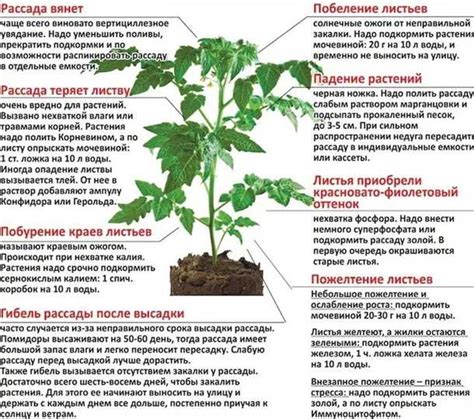 Изменение условий выращивания