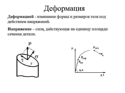 Изменение формы полилиний