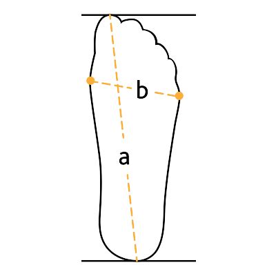 Измерение длины и ширины стопы