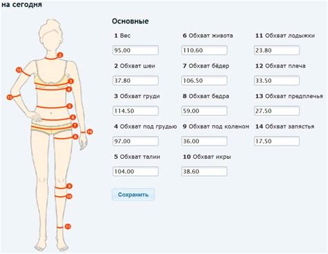 Измерения и пропорции