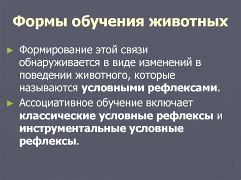 Изучение изменений в поведении животного