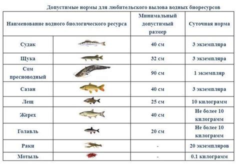 Изучение размера рыбы