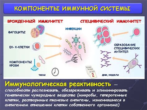 Иммунная система