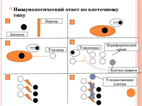 Иммунологический ответ