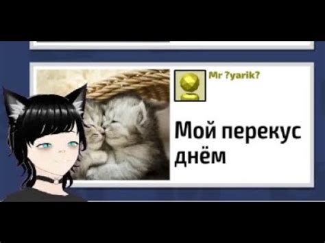 Импакт вербального кота на зрителей платформы YouTube