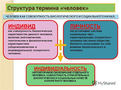 Индивидуальные характеристики и уникальное значение