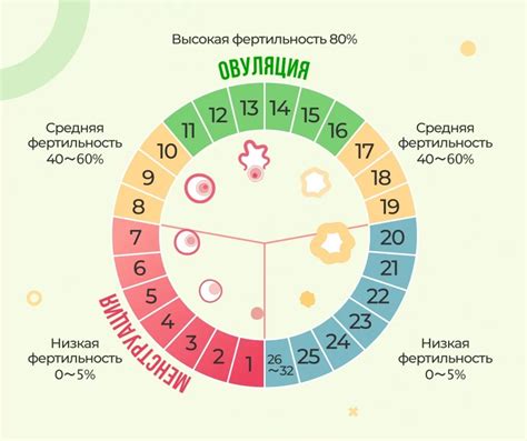 Индикатор фертильности у женщин