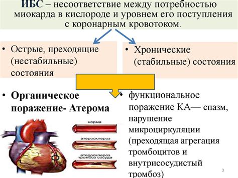 Интеракция между кровотоком и тканями