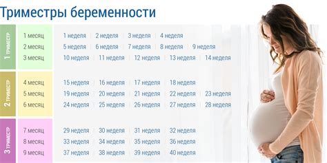 Интерпретация психологического значения снов о беременности в конце беременности