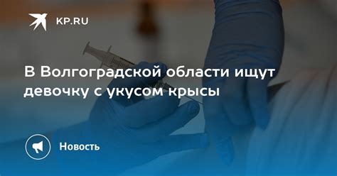 Интерпретация сна с укусом крысы