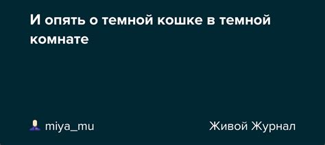 Интерпретация сновидений о темной кошке