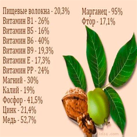 Интерпретация снов о грецких орехах в разных культурах