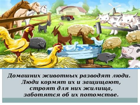 Интерпретация снов о коллективе животных и потомстве для представительниц прекрасного пола