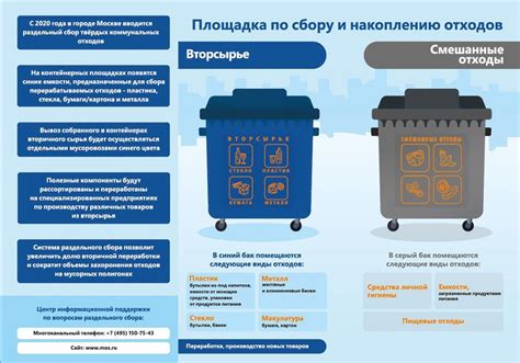 Интерпретация снов о сборе мусорных отходов: стремление к чистоте и очищению