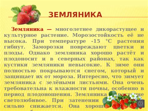 Интерпретация снов с участием красных ягод земляники: что они символизируют?