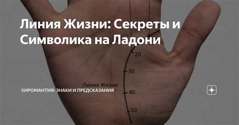 Интерпретация треугольников на ладони