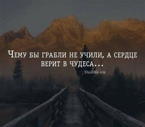 Интуитивная мудрость: разгадка высказывания для обнаружения суть жизни