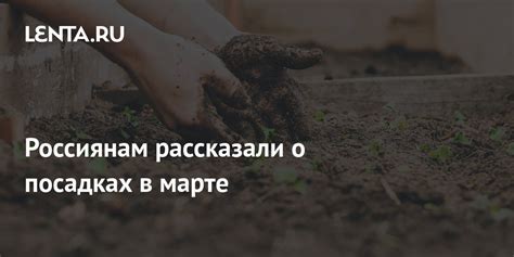 Иные сюжеты снов о пашне: забота о посадках и собирание урожая