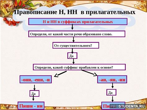 Исключения из правил написания прилагательных с "нн"