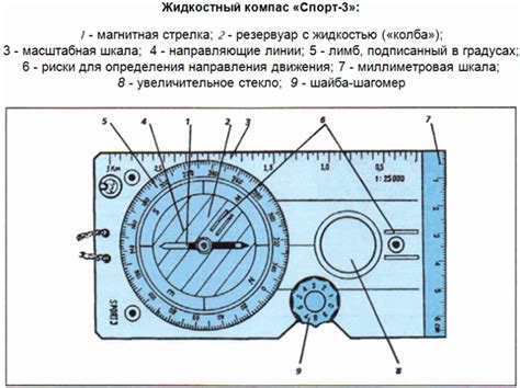 Использование компаса для определения сторон горизонта