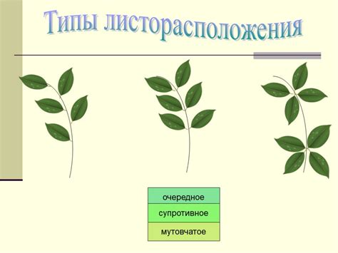 Использование определенных растений