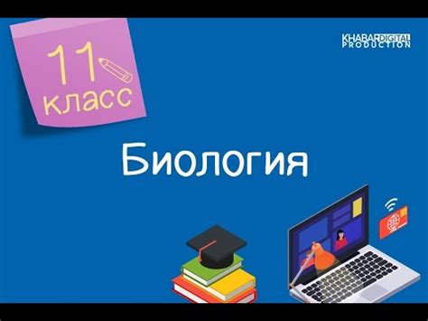 Использование статистических методов в определении границы детектирования г с