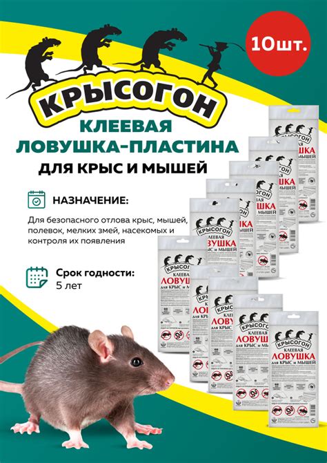 Используйте уловки для мышей и крыс