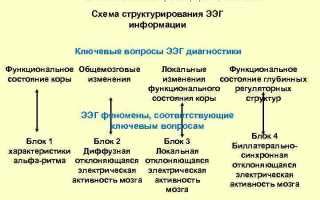 Исследование биоэлектрической активности мозга