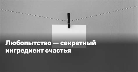 Исследовательское любопытство или практическая надежность