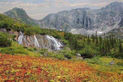 Исследуйте парки и заповедники