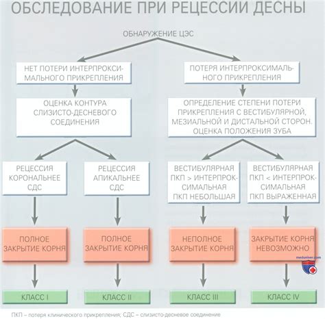 Истолкование цветов в сновидениях по Миллеру: ключевые значения