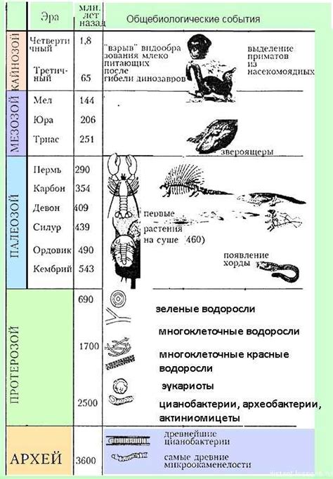 История Земли в ледниковую эру