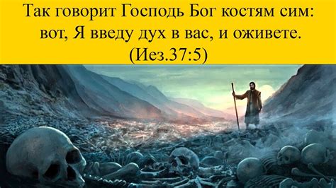 История заносит ворону несусветную богатства в сухих костях