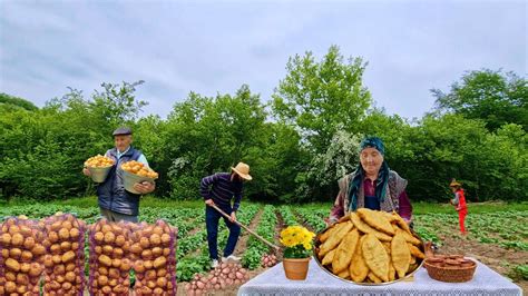 История значения снов о приобретении свежего картофеля