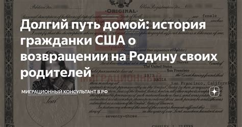 История о возвращении домой: аннотация для захватывающего романа