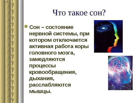 Источник вдохновения или ощущение груза: что символизирует класс ФГОС во сне?