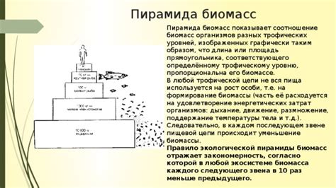 Исцеляющая часть Пирамида крестьянского благоволения: изопропиловое формирование