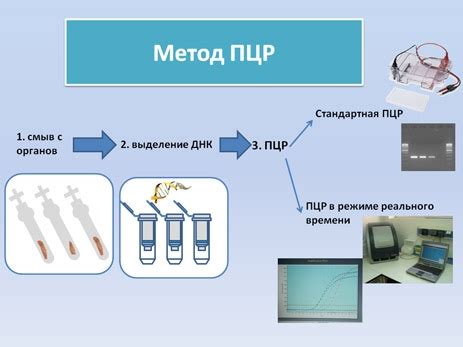 Какие ИППП можно выявить методом ПЦР?