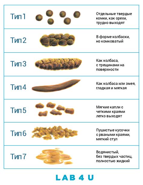 Какие болезни могут сопровождаться детритом в кале?