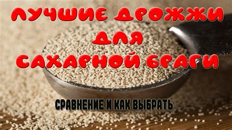 Какие дрожжи выбрать?