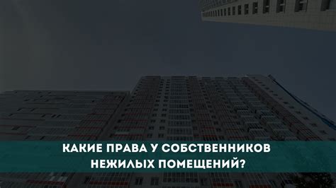 Какие права имеют собственники нежилых помещений?