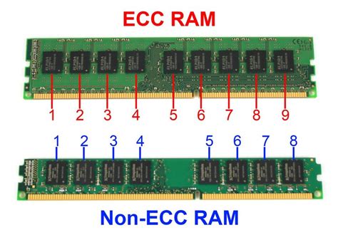 Какие преимущества может предложить ECC REG в сравнении с ECC?