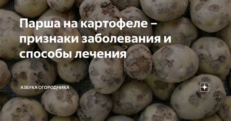 Какие признаки снов о картофеле могут указывать на трудности в жизни