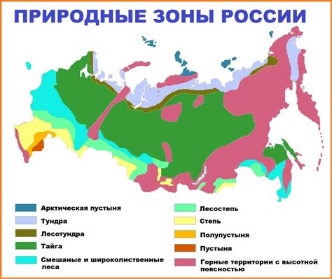 Какие природные зоны есть в России?