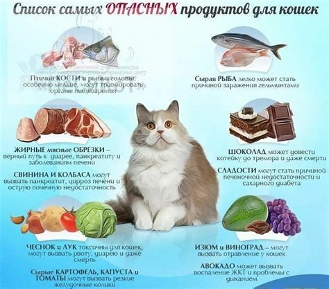 Какие продукты опасны для щенка