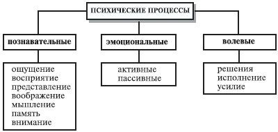 Какие психические процессы влияют на содержание сновидений?