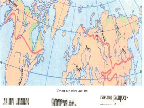 Какие регионы представлены многолетней мерзлотой?